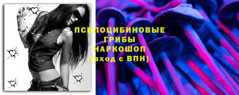 Псилоцибиновые грибы Magic Shrooms  Трубчевск 